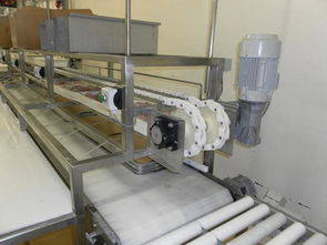 食品生產(chǎn)線圖片,食品生產(chǎn)線高清圖片 中山市東升鎮(zhèn)金諾泰機(jī)械設(shè)備廠,